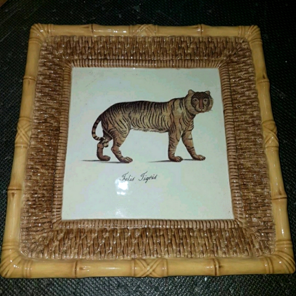 Tiger Illustration Woven Table Top PLATE Decor